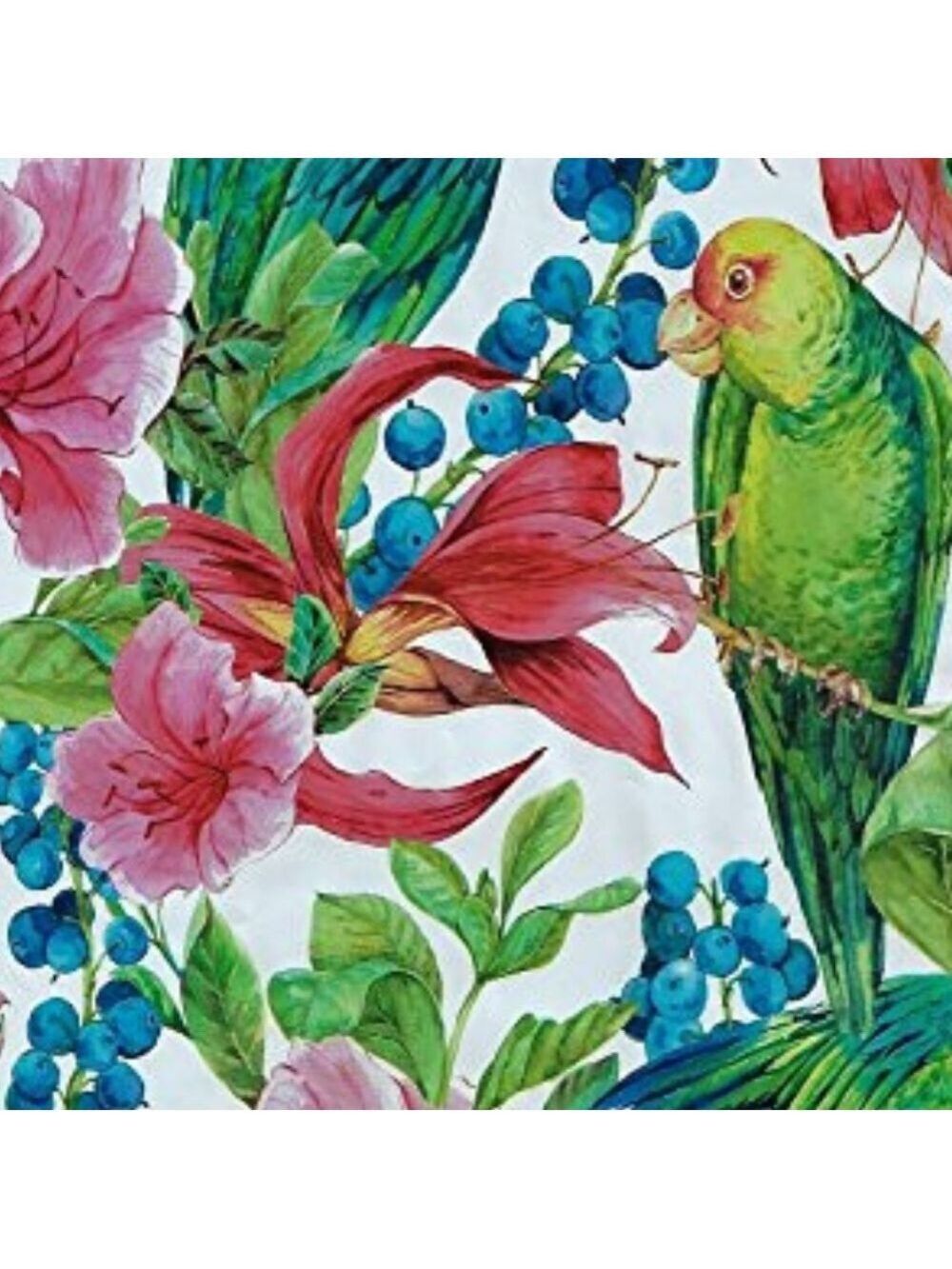25 10X13 Poly Mailers Tropical Parrot Bird PRICE IS FIRM - Picture 15 of 15